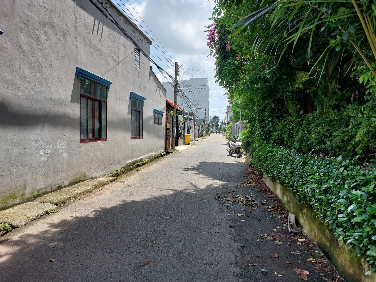 z4727349935375_341d997b7a94f9a865b4db6b16db339d