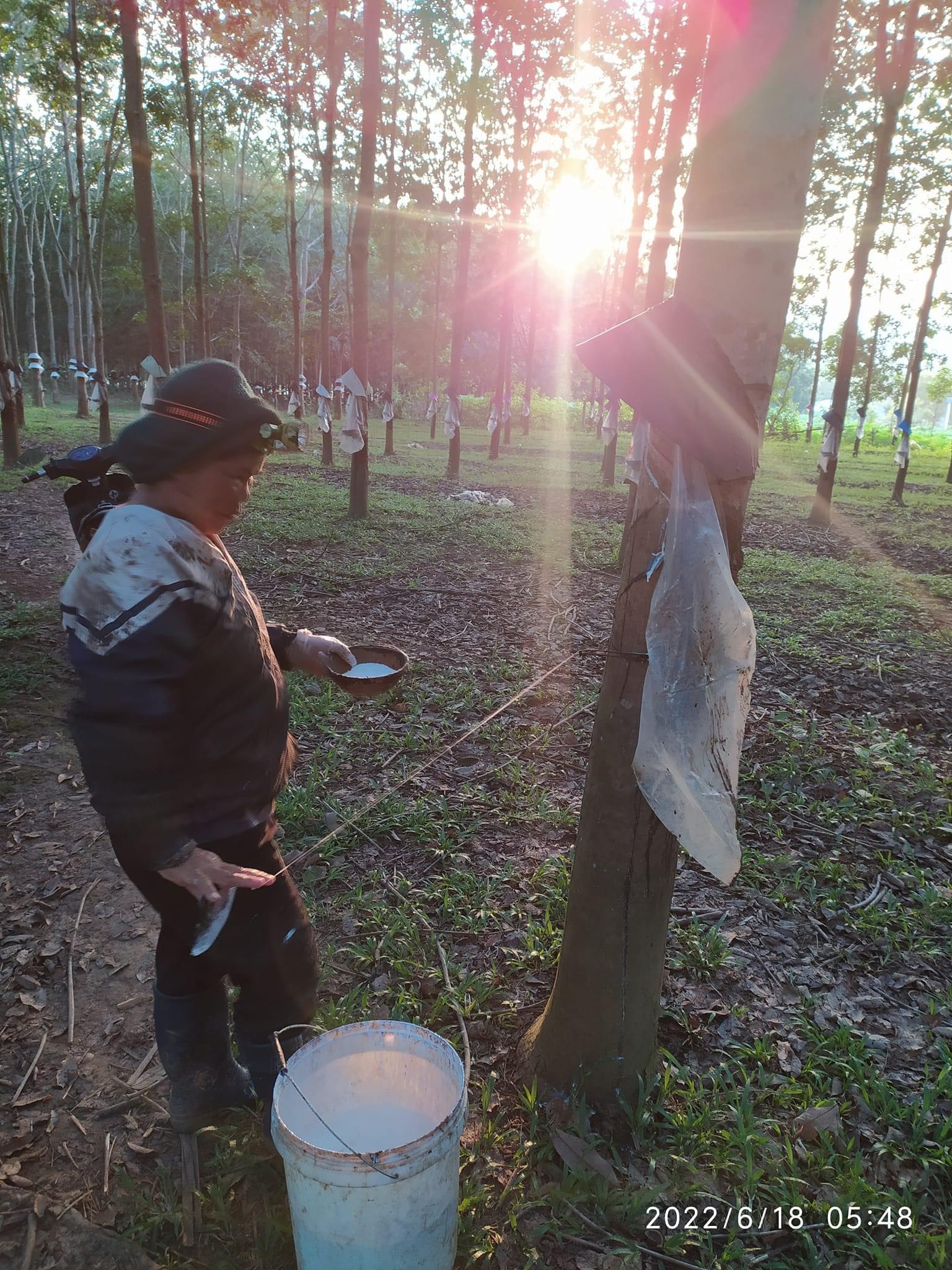 z4747275287807_d5ce91378d288c348bb7474bd0dcd24b