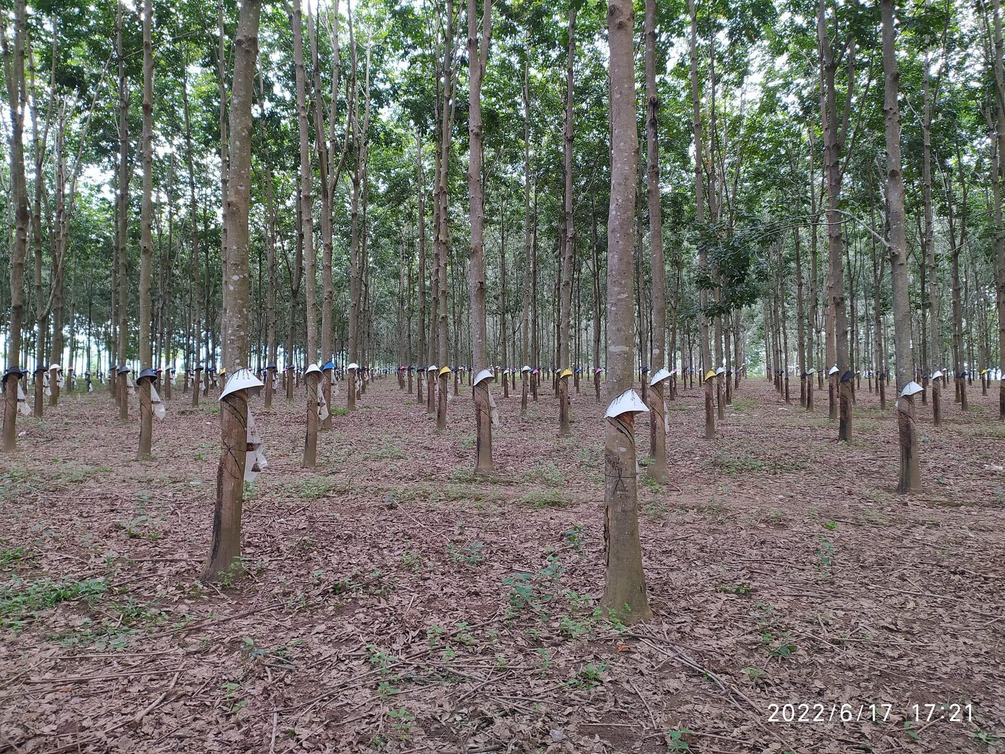 z4747275320222_035d6f7e56cdcd792f402443baf7f935