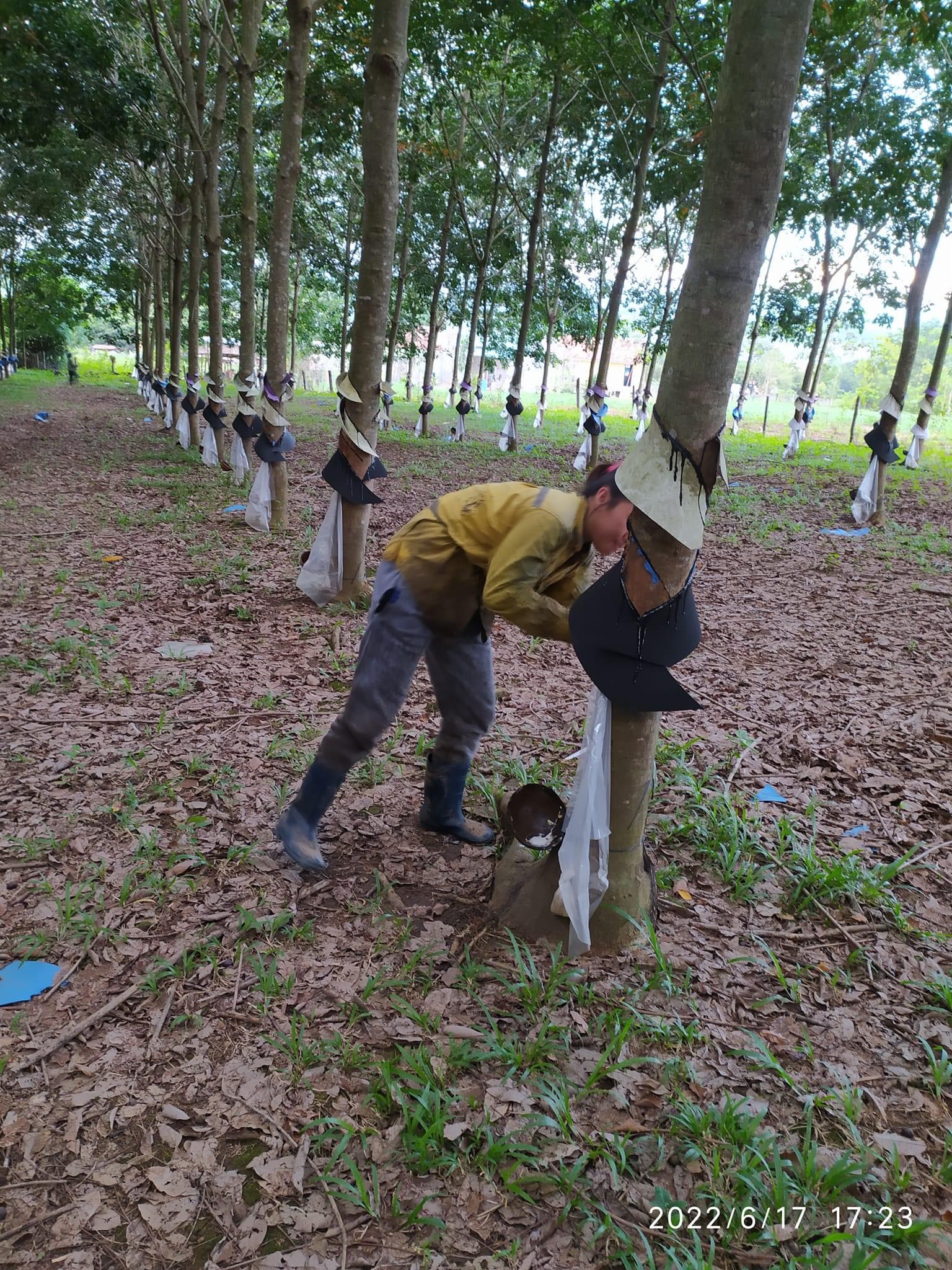 z4747275328044_fbd1e1fa60f0b8554e1d888909b6711e