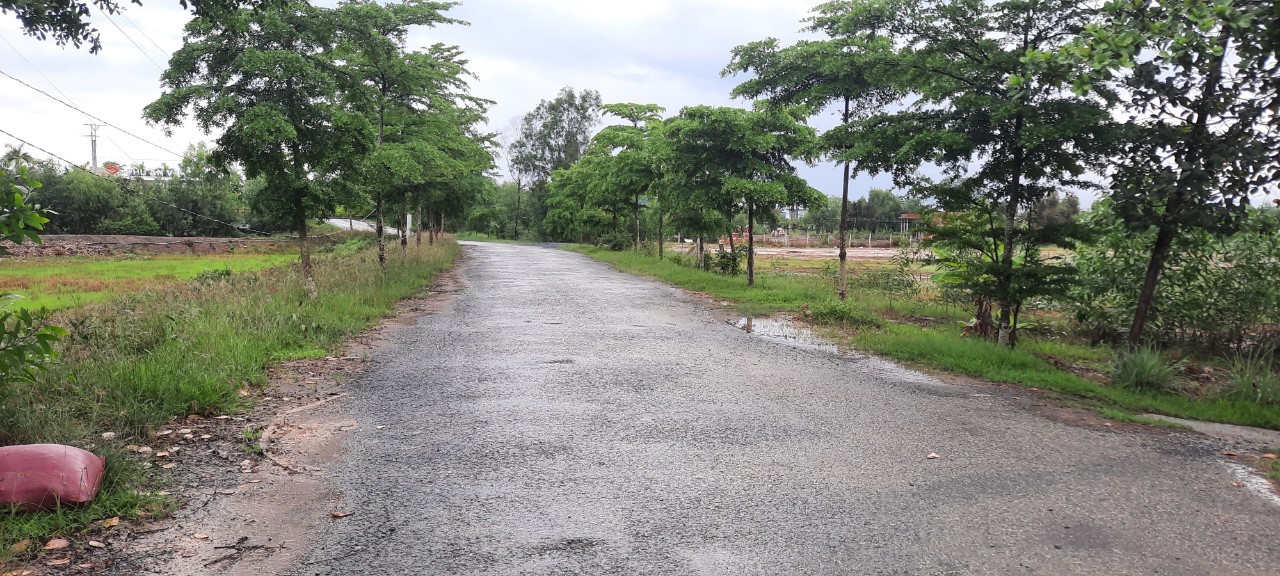 z4816065640362_2242654b1c0c4ca254337f224f61a8a9