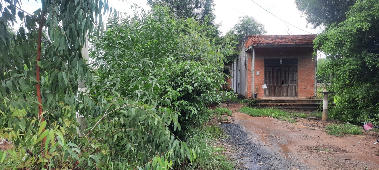 z4816065645059_71a59293df28f6ba3d471a80547b3368