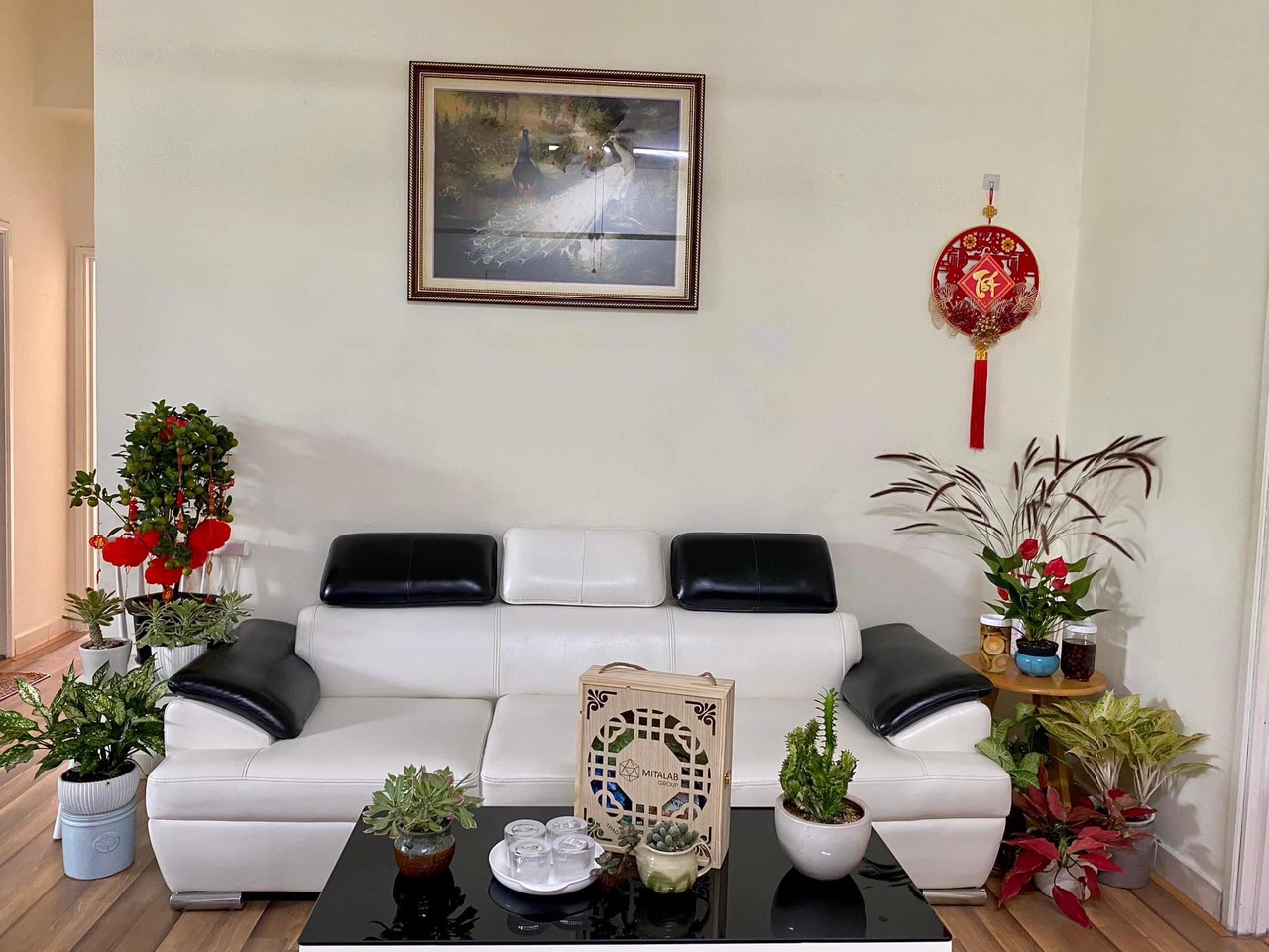 z5304285946103_cef689dcedc87c5ed4dbc0fdaad115bc