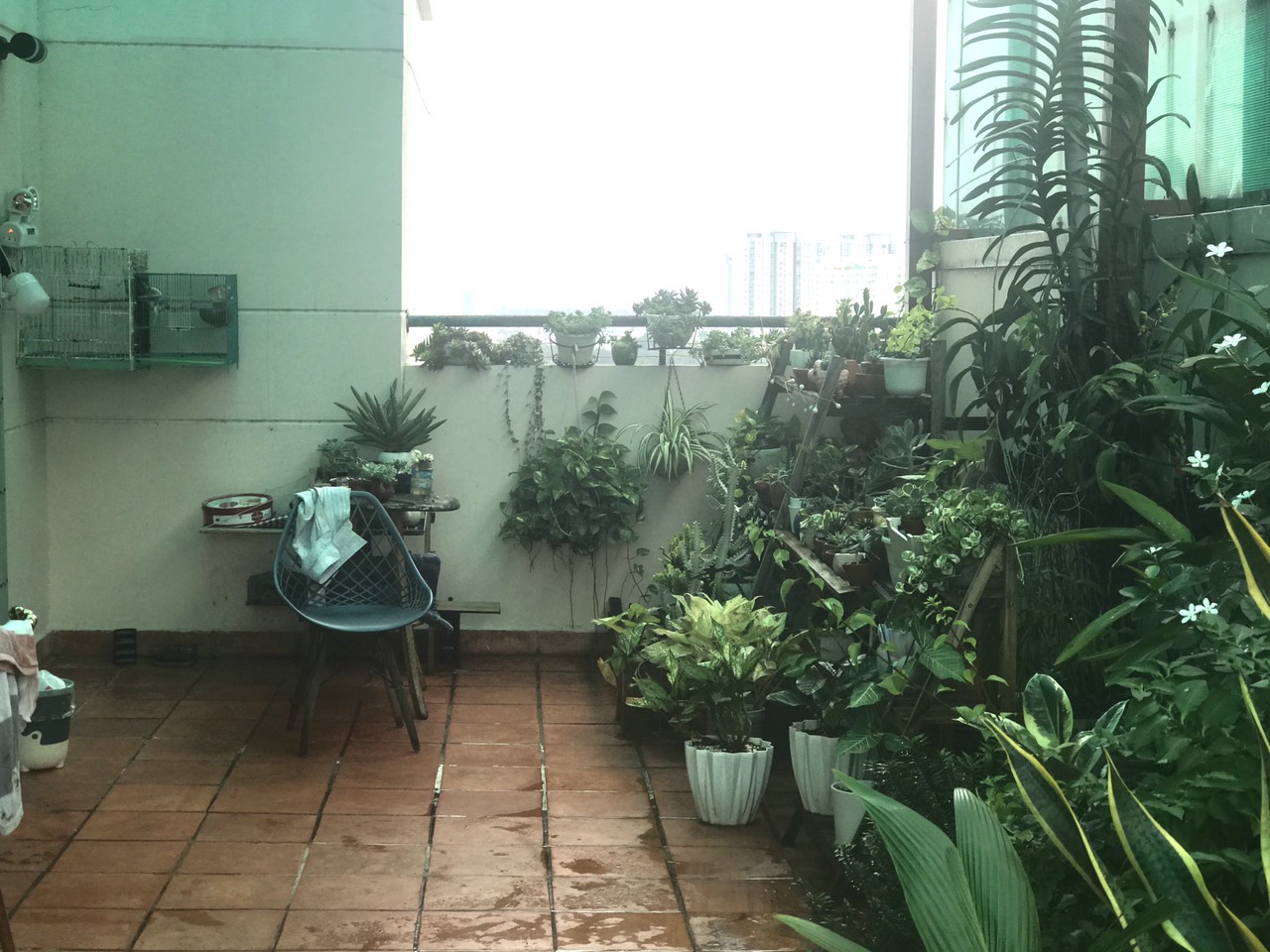 z5855794791050_b8bc045e41aeb496d14201c6a54c191c