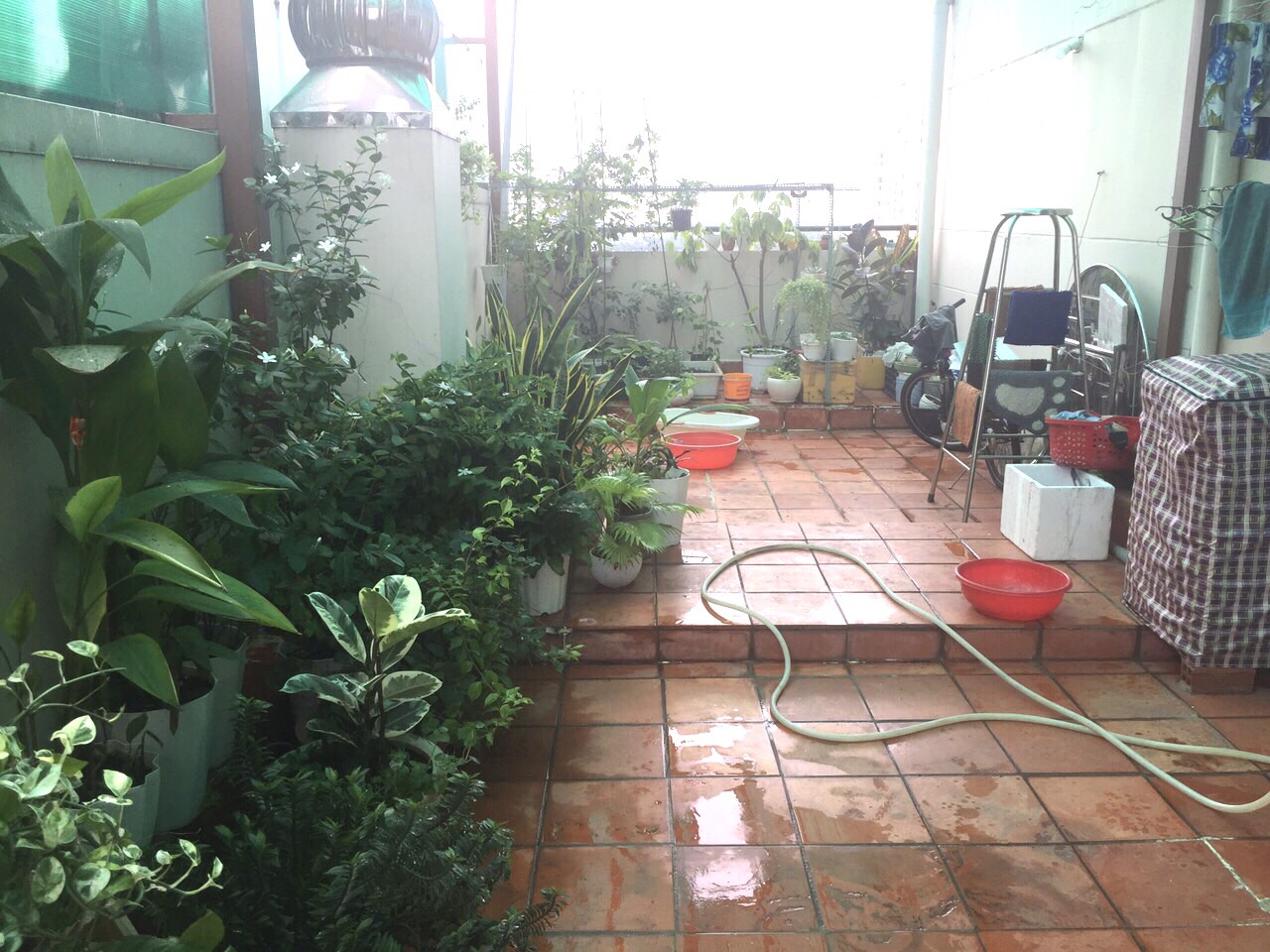 z5855794804358_f4ba88e3d411b083343e8b3038808b6a