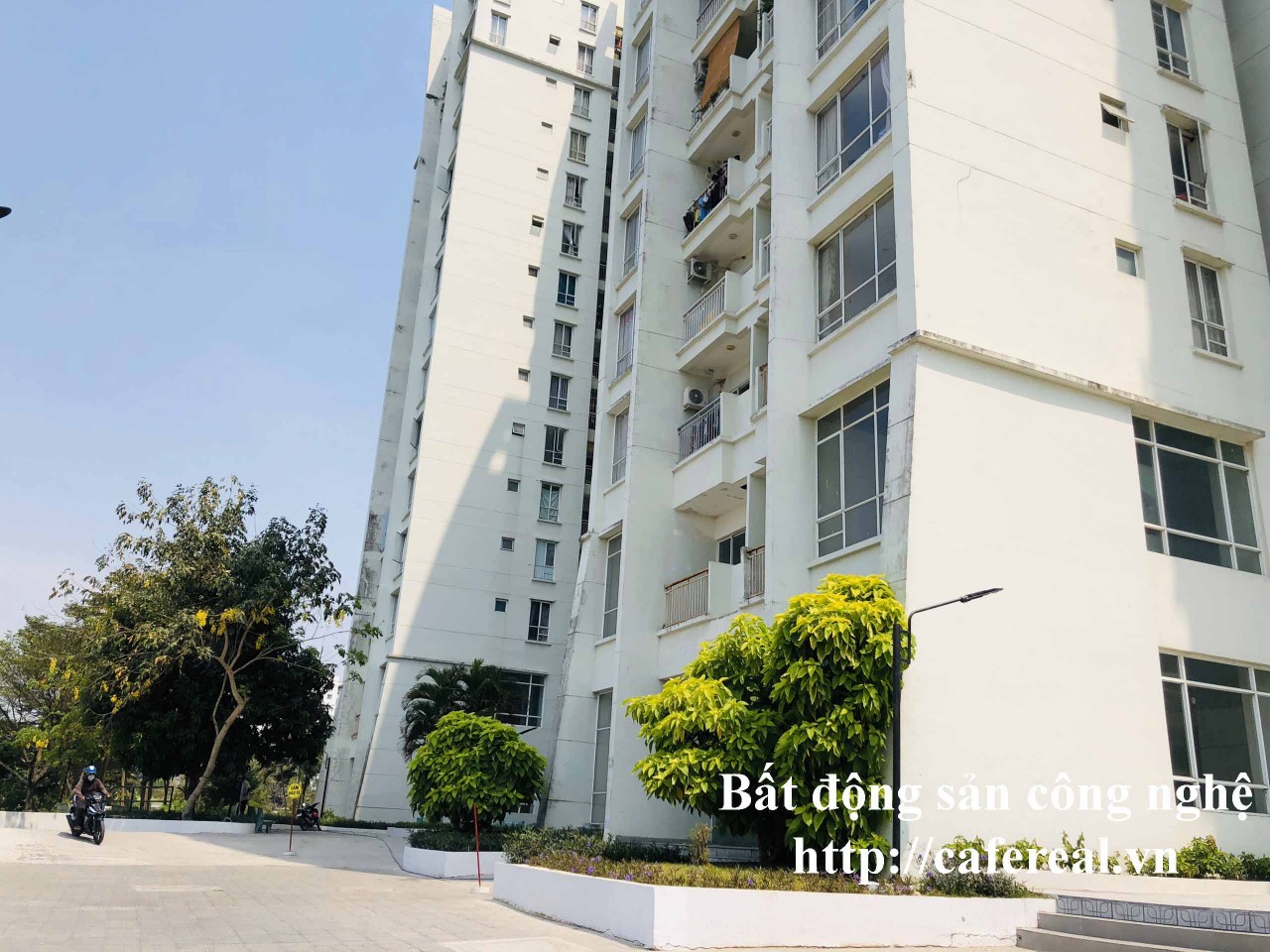 z4149590840929_c86275517985d3341bc1ee45c0f429c8