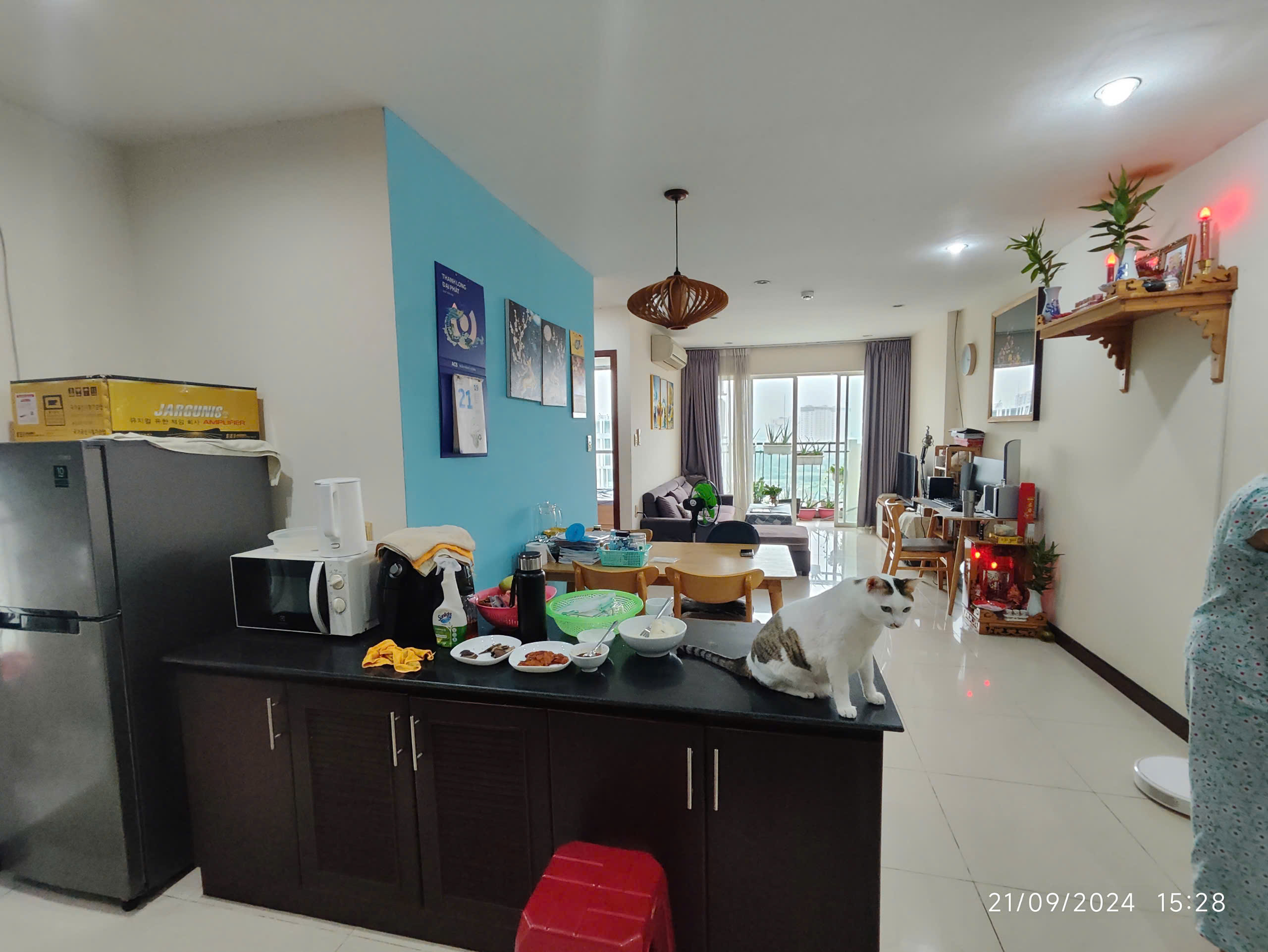 z5901334815815_331f21728facf81af505e4d2217e997d