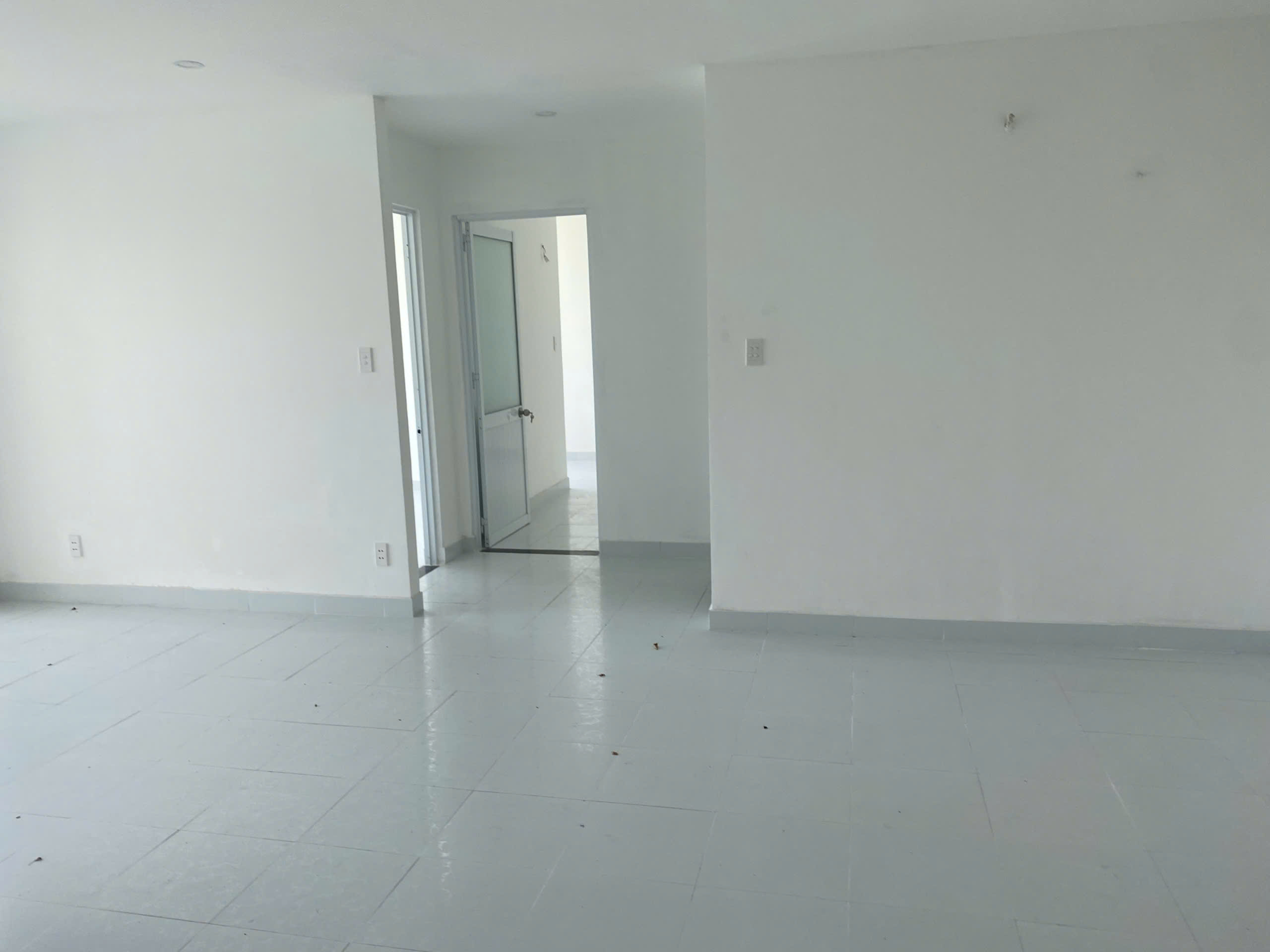 z5901356478007_48a072a3df6a4d936e309ed5b6a7a1a2