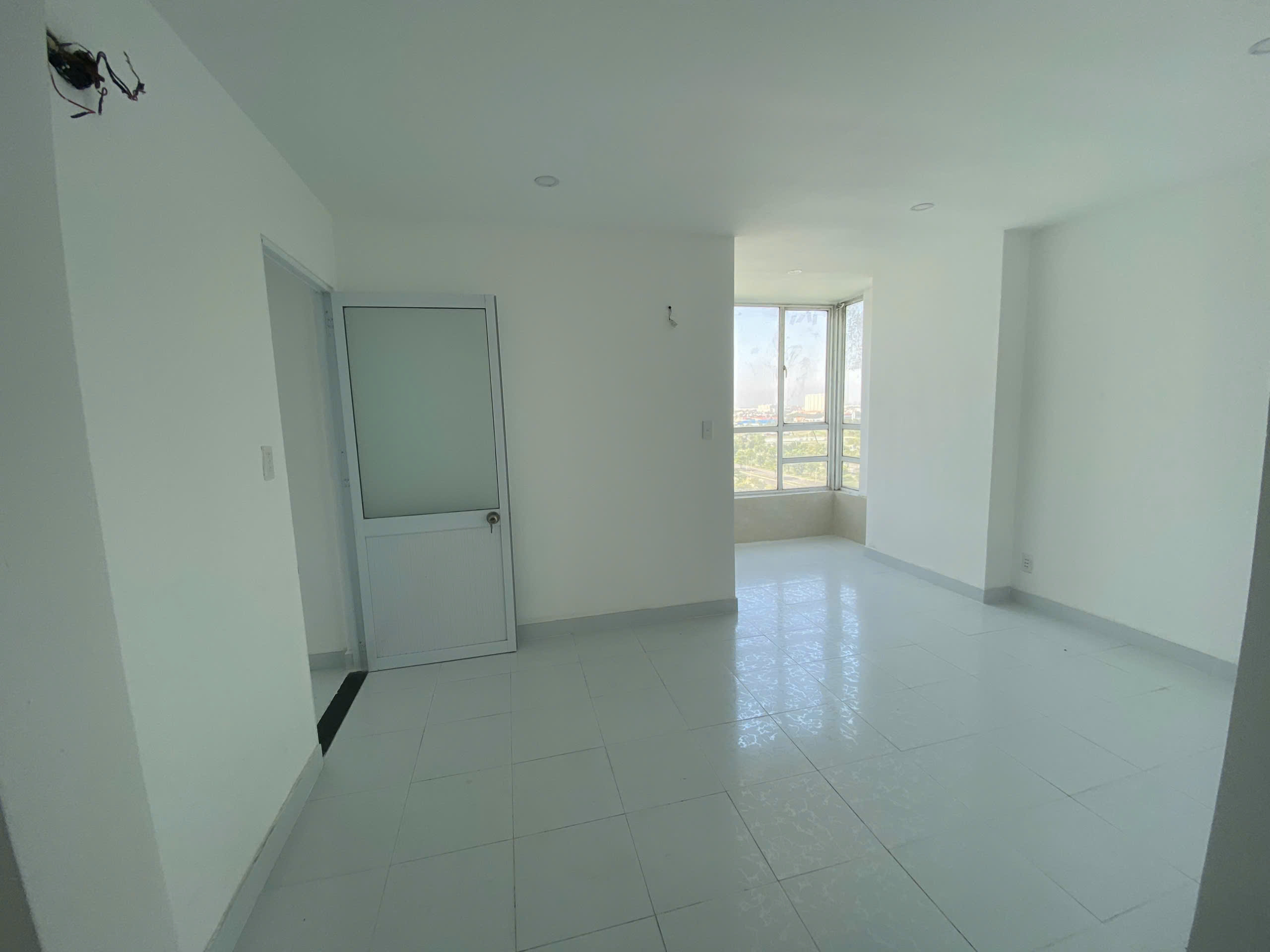 z5901356552048_12e6175d03ea9235d77dc2f82a180713