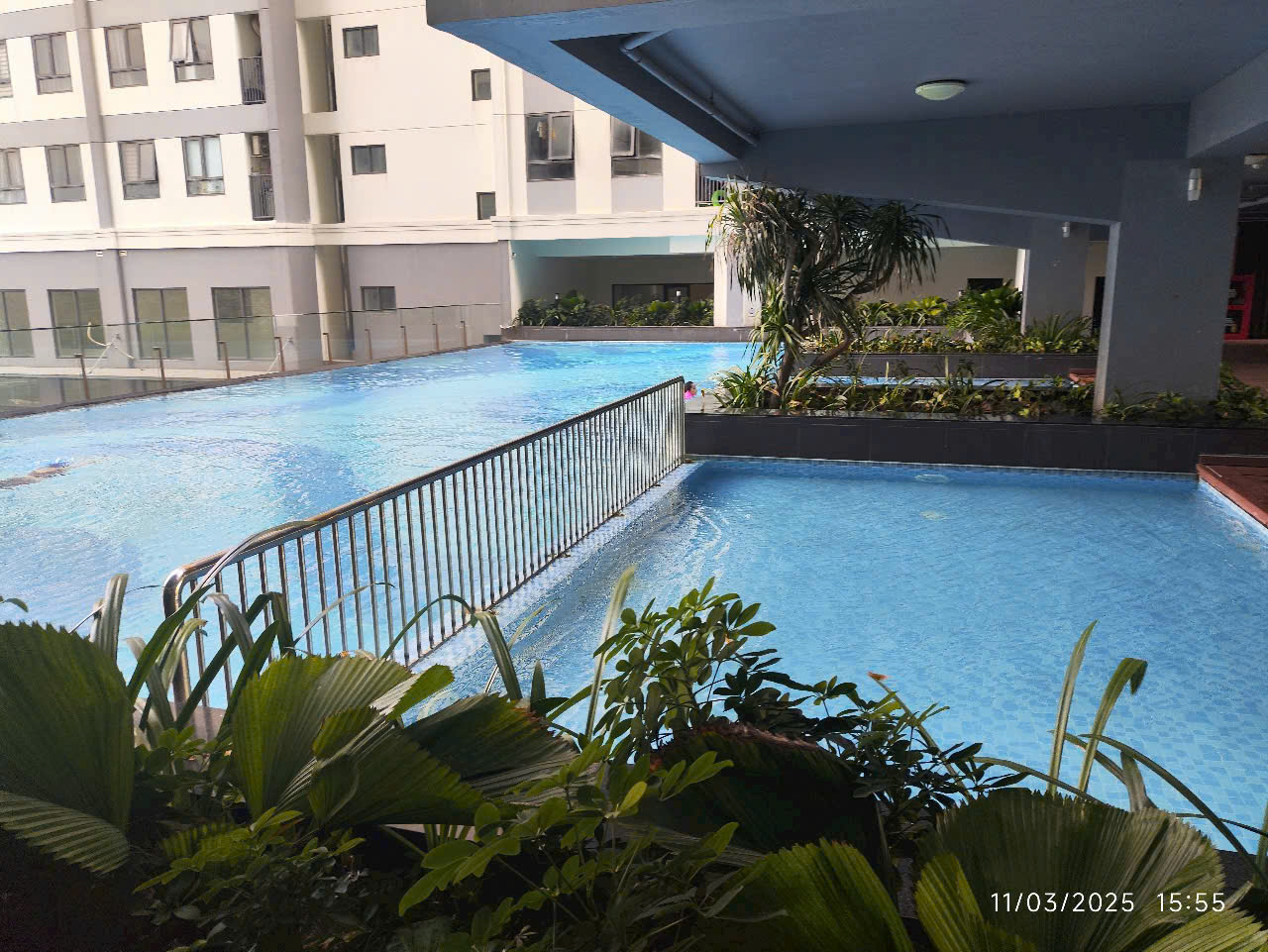 z6694120045126_860ed1835756cdb691232546c729d550